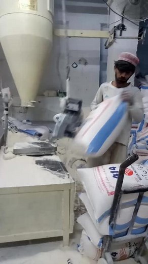 Industrial Sack Handling Machine in Action