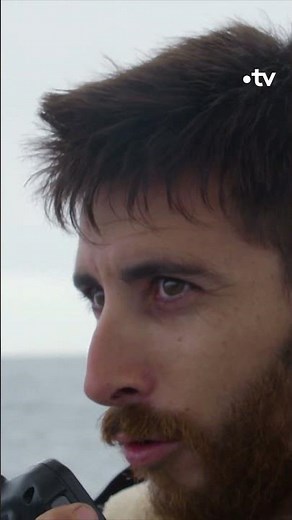 Fishing for a tuna of 225 kg - Thalassa