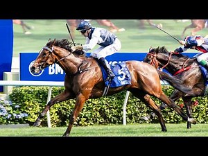 【2026 寶馬香港打吡大賽】賽事重溫