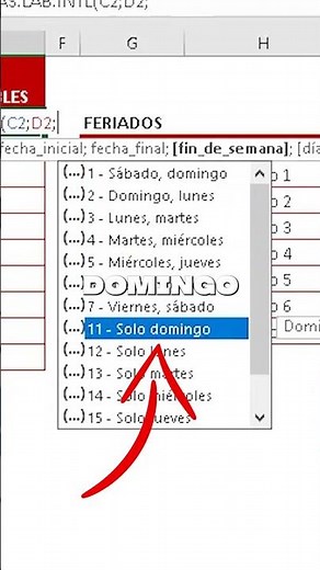 📆🚫 How to Calculate Working Days in Excel: Exclude Sundays and Holidays