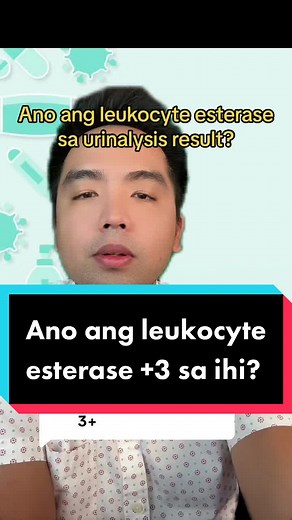 Understanding UTI and Kidney Disease: Symptoms, Testing, and Results