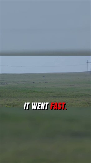 10,000 Years Gone in a Century #prairie #conservation #shorts