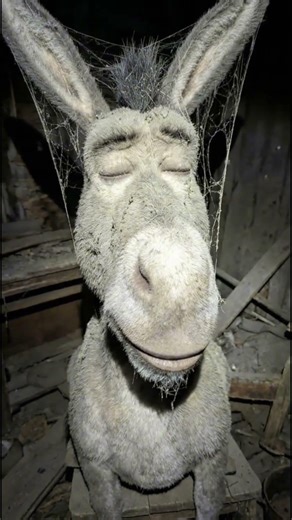 THEY DISAPPEAR, OR ARE WE THE ONE WHO NEVER VISITED THEM AGAIN?