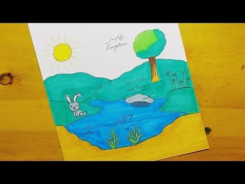 رسم النظام البيئي 2 || Ecosystem drawing