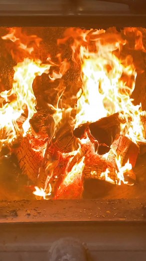 Back 40 Firewood on TikTok