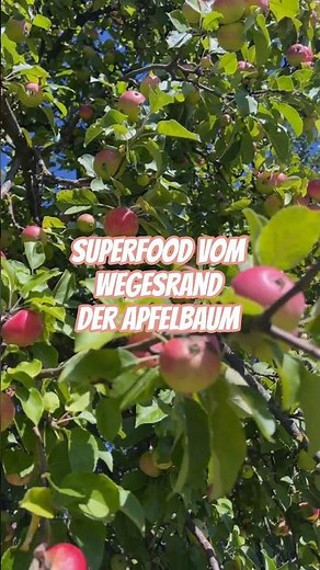 Superfood from the roadside! #apple #naturopathy #healthyliving