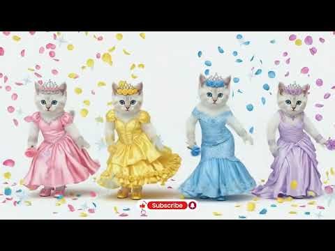 बिल्ली डांस | Cutest Cat videos funny dance🤣💃Videos for cats #funny #dancingcat #cat