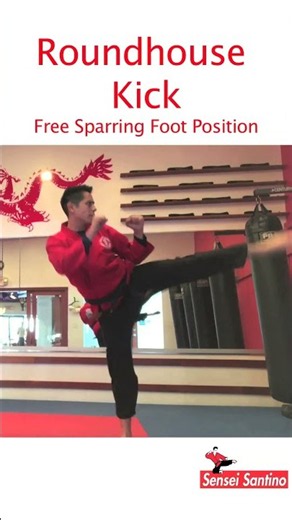 How to Roundhouse Kick (Free Sparring Foot Position)