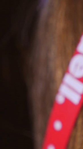 LFL ｜ 2018 ｜ PROMO ｜ ATL VS SEA #lfl #womensfootball #allstar #gridiron #athlete | Mylflus