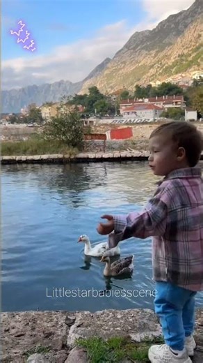 How many books does your little one have in the library 💘 💕#littlestarbabiesscene