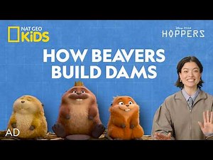 AD | How to Build a Beaver Dam | Hoppers is now playing in theaters 🍿 | ‪@natgeokids‬