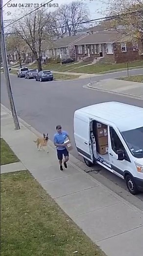 CCTV footage from a street camera showing a dog chasing a delivery man