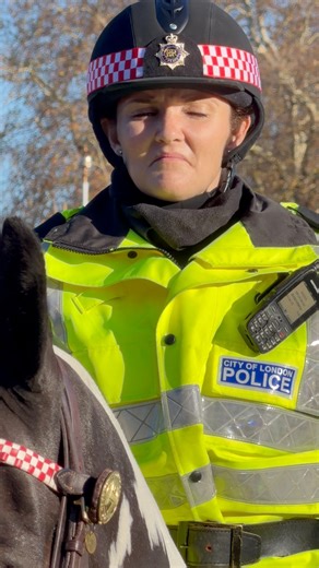 Mounted Police at Buckingham Palace. | Royal British Traditions