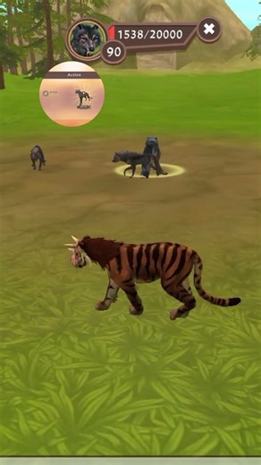 hi 💐 video 📸 l am tiger 🐅 video 📸 level 34