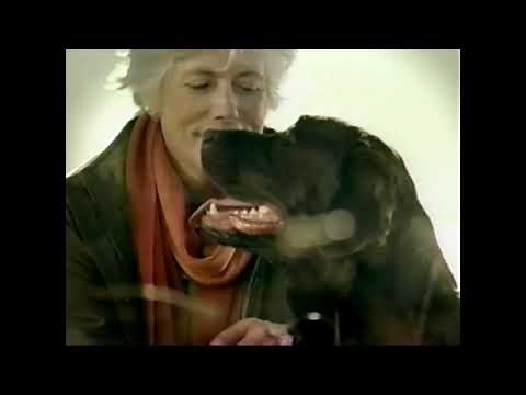 IAMS Dog Food Commercial - Early 2000s