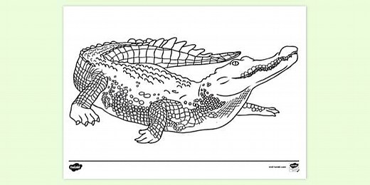 Crocodile Colouring Sheet