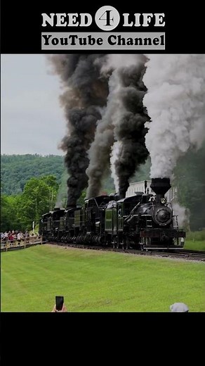 Parade of Steam at The Cass Scenic Railroad #trainvideo #train #steam #locomotive