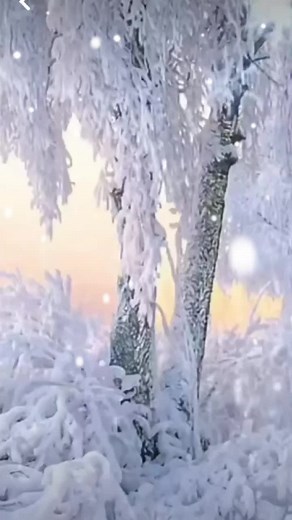 Charming Winter Animation Featuring Snowman and Dog