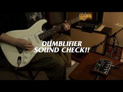 DSM&Humboldt DUMBLIFIERを使用したマイク録音とライン録音のサウンドチェックの様子。ライン録音はもちろん、パワーアンプとキャビネットを組み合わせた使用もいいですね。