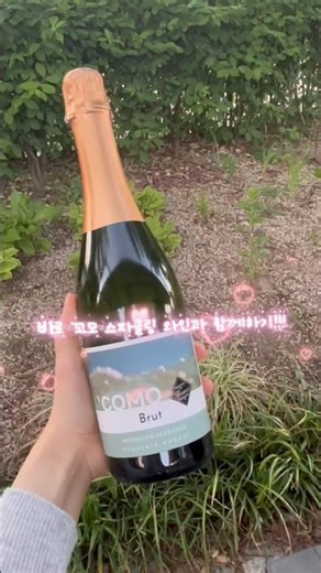 편의점 가성비 와인 추천🍷🩷 | 이마트24 꼬모 스파클링 와인