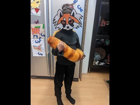 DIY Red Panda Costume - Easy and simple DIY costume for School Animal Day.