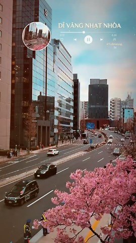 Chờ người tình lỡ…là tình đầu tình rực rỡ….tình trong dĩ vãng nhạt nhoà…#nhachaymoingay #nhactamtrang #nhacchill #fyb #viral