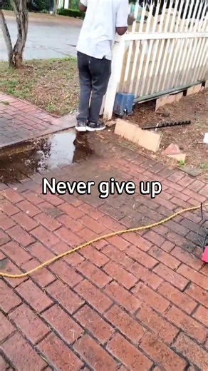 2.3K views | #SecuritySolutions #ElectricFence | Never give up | Facebook