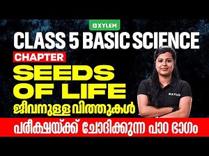 Class 5 Basic Science | Chapter: Seeds of Life ജീവനുള്ള വിത്തുകൾ | Xylem Class 5