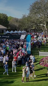 Join us for The Amelia this weekend - packed with seminars, films, parties, auctions, free Ride & Drives and the renowned Concours d'Elegance. | The Amelia Concours