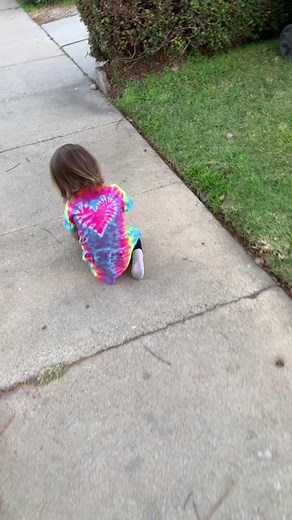 Exploring Bilingual Language Development with Yiddish Grammar