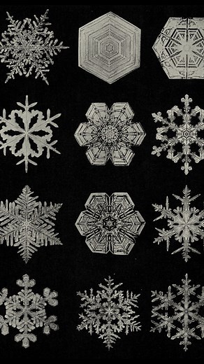 In the late 1800s, Wilson Bentley captured the first successful image of a single snowflake, using a bellows camera attached to a microscope. Revisit more of our favorites here: https://on.natgeo.com/3PNp9N0 | National Geographic