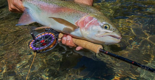 Airflo SuperFlo Power Taper Review