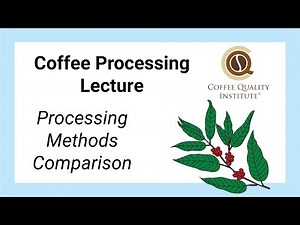 Lessons in Coffee Processing - Processing Methods Comparison