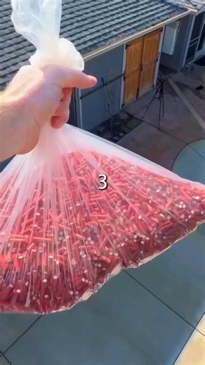 작은 폭죽 500개를 옥상에서 던지면 어떻게 될까? #shorts