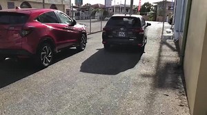 6.7K views · 13 reactions | We told you last week we have more to show on this delivery! Here’s a teaser Welcome to the HSM Family Javid | HSM Marketing Company Limited | Facebook