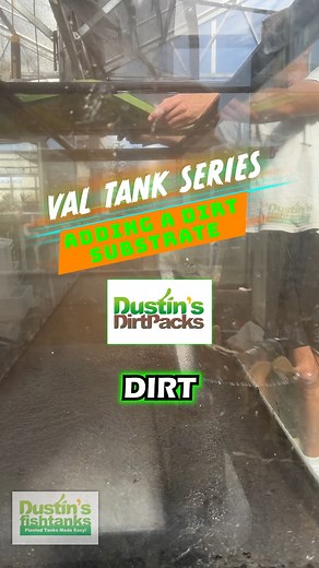 VAL TANK SERIES: Adding A Dirt Substrate - Here at Dustin's FishTanks we finally setup a NEW TANK! Check out our new/old 125 gallon Vallisneria Wall Tank! Shout outs to AluFab Inc for the amazing aquarium stands! What are your thoughts on this new setup? The ultimate goal is for you to learn something and have success in your own planted aquariums! FOLLOW ALONG FOR MORE! TANK ON! Vallisneria 👇👇👇 https://dustinsfishtanks.com/collections/vallisneria-val-3-types-of-awesome-easy-background-plants
