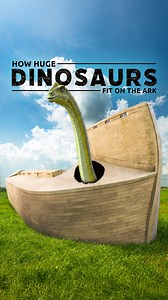 There were fewer kinds of large dinosaurs than many realize. And Noah didn’t have to bring full-grown adults with him on the ark. | Ark Encounter