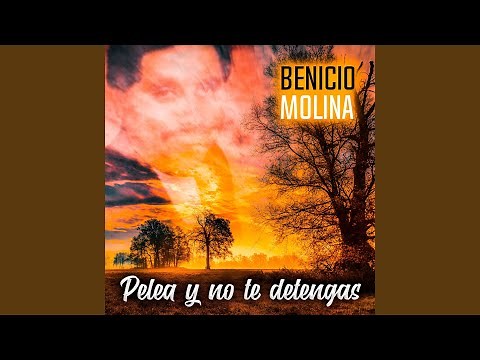 Pelea y No Te Detengas