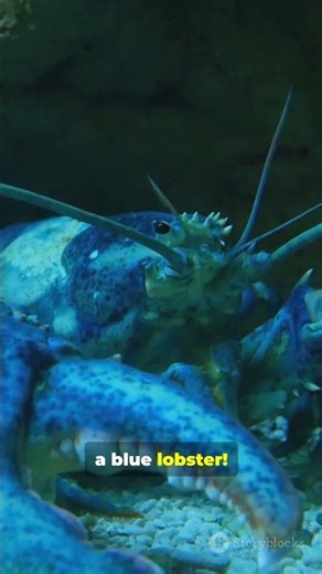 Nature’s Weirdest Mutations: You Won’t Believe #3!