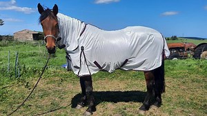 WeatherBeeta ComFiTec fly rug review | Horse & Hound