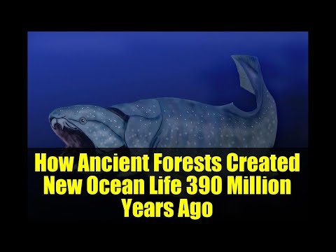How Ancient Forests Created New Ocean Life 390 Million Years Ago