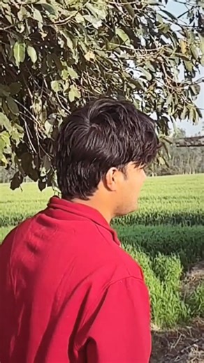 Instagram video by Rohit Negi • Feb 14, 2026 at 9:09 AM