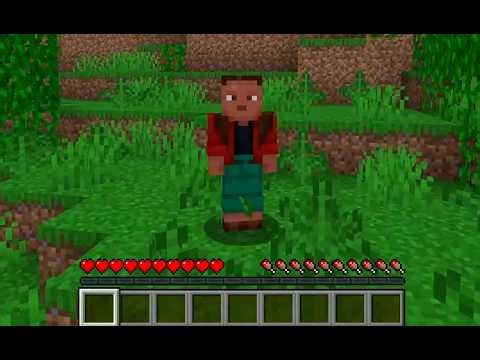 First Minecraft Gameplay - Introduction