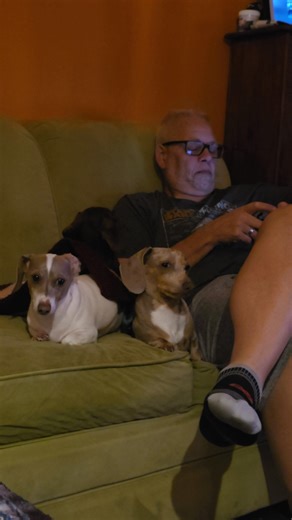 Sometimes you have something important to say.... | Adler, Falk & Wren: The Tremendous Trio