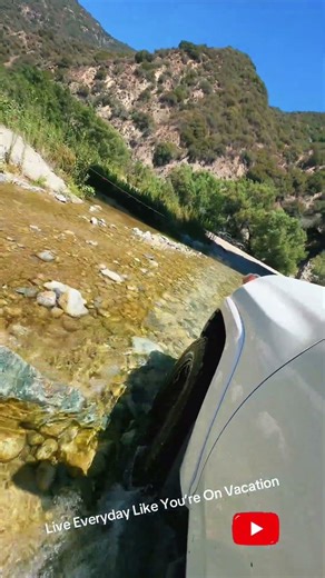 It’s Friday…Whoo Hooooo!!!!