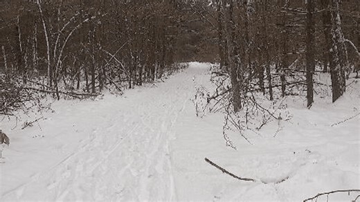 Maine snowmobiling season started early this winter, but clubs urge caution on thin trails
