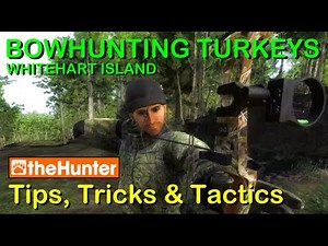 BOW HUNTING TURKEYS (Tips, Tricks & Tactics) - theHunter Classic
