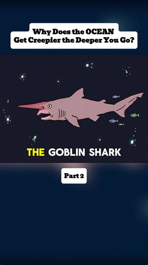 Deep Ocean Wonders: Strange Life of the Abyssal Zone