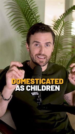 Why NOT to stay single 👉 @robdialjr #adviceoftheday #motivation #mindset #growth