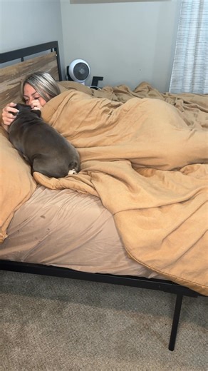 Our morning routine #fblifestyle | Kash.d.frenchie
